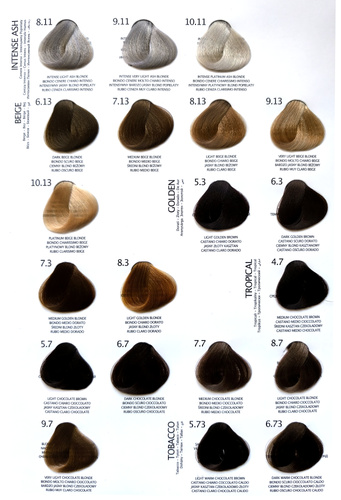 ARTE Karta kolorów 2025