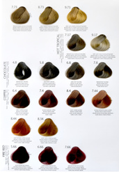 ARTE Karta kolorów 2025