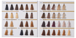 RR LINE Farba 100ml