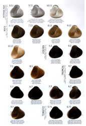 ARTE Karta kolorów 2025