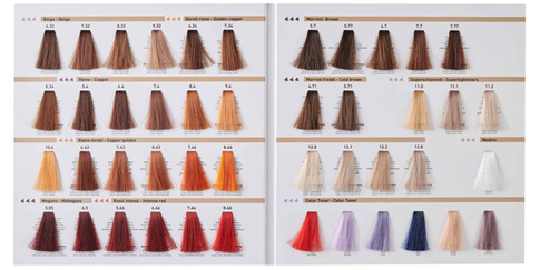 RR LINE Farba 100ml