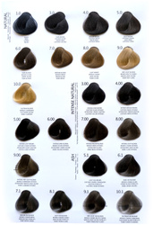 ARTE Karta kolorów 2025